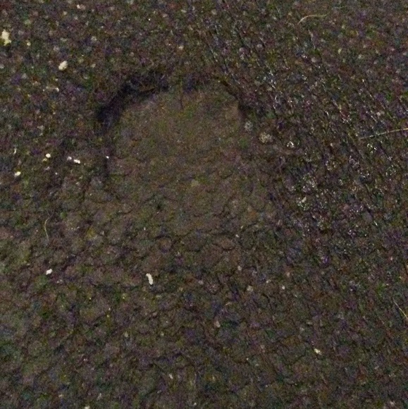 Pointed toe flats - Picture 6 of 6